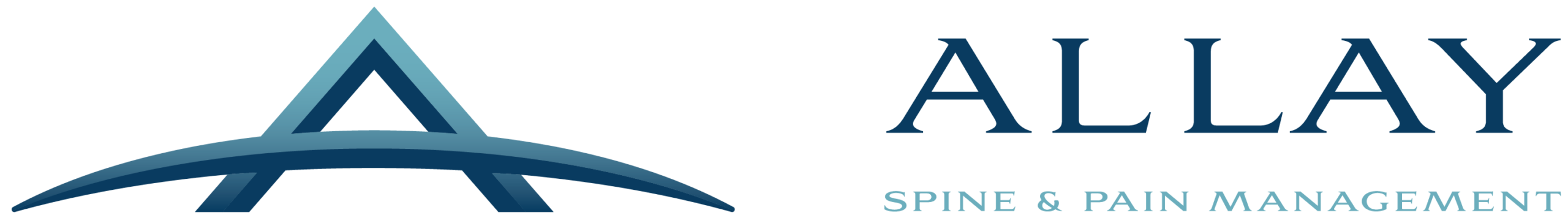 allay logo horizontal full color